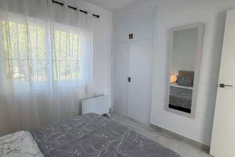 Villa à louer à Torrevieja, Alicante, Espagne, 3 chambres, 68 m2 No. 166719 - photo 26
