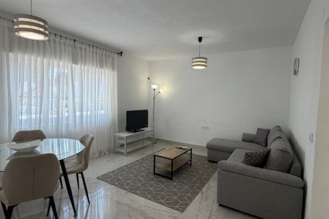 Villa à louer à Torrevieja, Alicante, Espagne, 3 chambres, 68 m2 No. 166719 - photo 28
