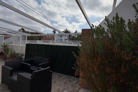 Villa à louer à Torrevieja, Alicante, Espagne, 3 chambres, 68 m2 No. 166719 - photo 22