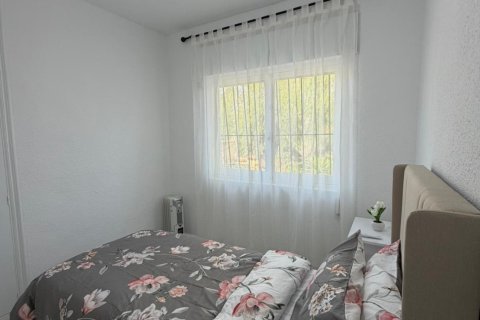 Villa à louer à Torrevieja, Alicante, Espagne, 3 chambres, 68 m2 No. 166719 - photo 3