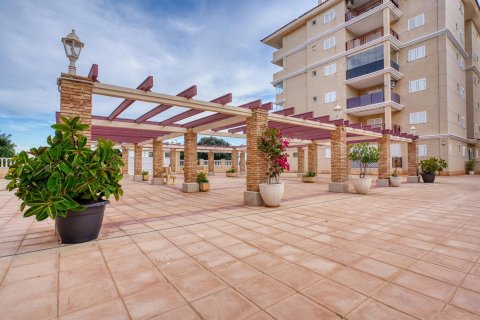 Продажа квартиры в Торревьеха, Аликанте, Испания 3 спальни, 91м2 №166716 - фото 17