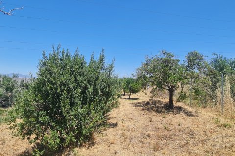 Terreno in vendita a Alhaurin el Grande, Malaga, Spagna 1103 mq. N° 187792 - foto 5