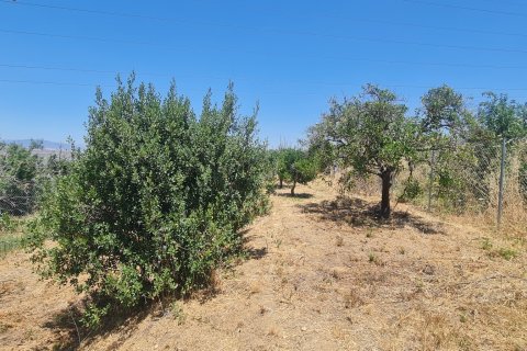 Terreno in vendita a Alhaurin el Grande, Malaga, Spagna 1103 mq. N° 187792 - foto 6