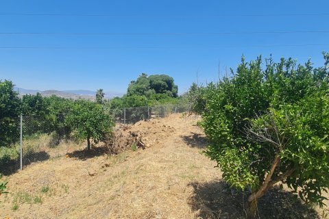 Terreno in vendita a Alhaurin el Grande, Malaga, Spagna 1103 mq. N° 187792 - foto 12