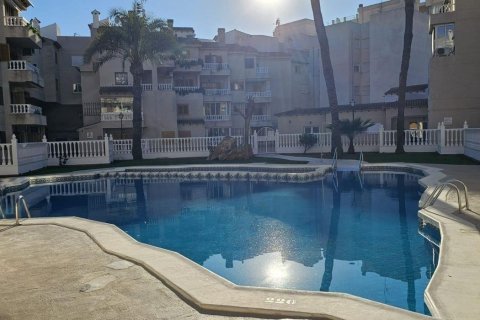 Dzīvoklis pārdošanā Torrevieja, Alicante, Spānijā 1 istaba, 55 m2 Nr. 183401 - attēls 12