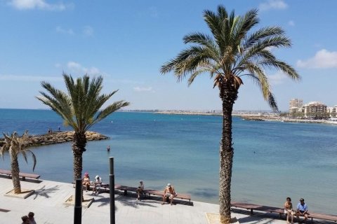 Huoneisto myytävänä Torrevieja, Alicante, Espanja, 1 makuuhuone, 51 m2 No. 183403 - kuva 12