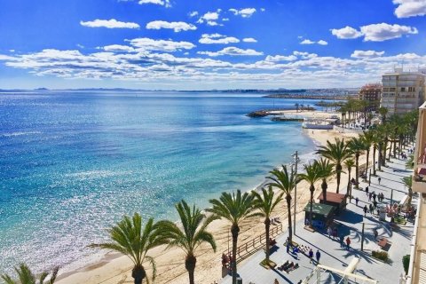 Huoneisto myytävänä Torrevieja, Alicante, Espanja, 1 makuuhuone, 51 m2 No. 183403 - kuva 26