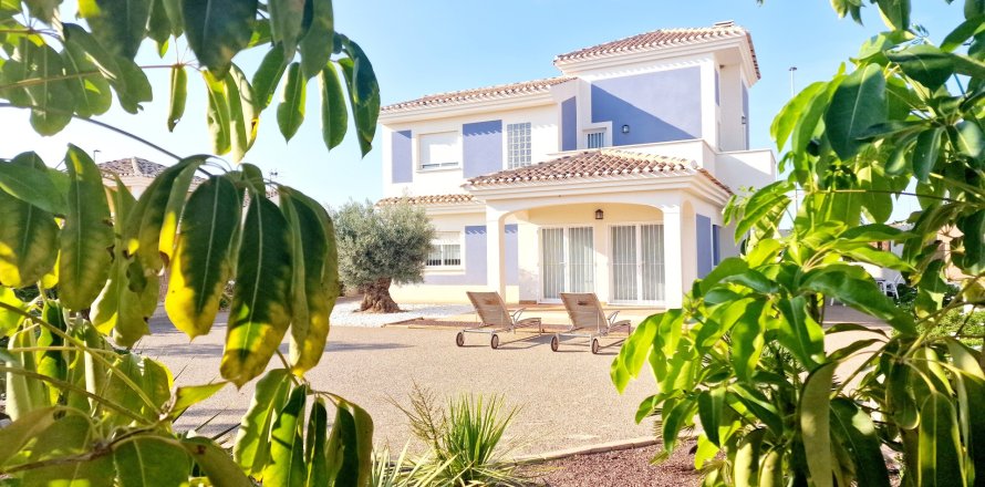 Huvila Purias, Murcia, Espanja 3 makuuhuonetta, 141 m2 No. 163416