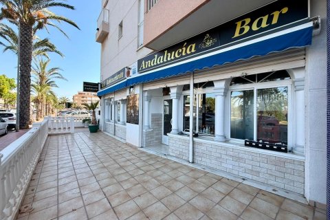 Liikekiinteistö vuokrattavana Guardamar del Segura, Alicante, Espanja , 101 m2 No. 193303 - kuva 5