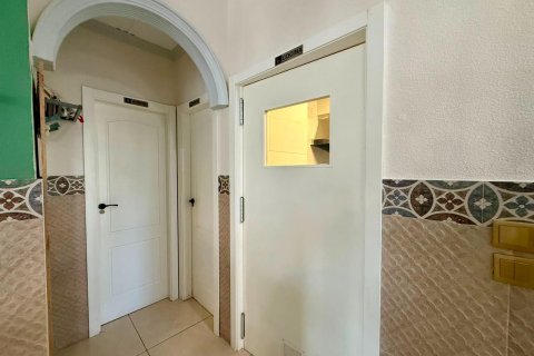 Liikekiinteistö vuokrattavana Guardamar del Segura, Alicante, Espanja , 101 m2 No. 193303 - kuva 25