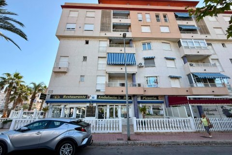Liikekiinteistö vuokrattavana Guardamar del Segura, Alicante, Espanja , 101 m2 No. 193303 - kuva 9