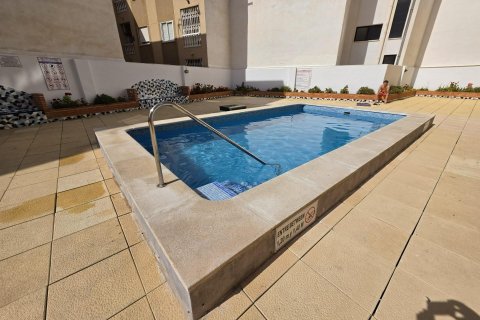 Apartment à vendre à Torrevieja, Alicante, Espagne, 1 chambre, 55 m2 No. 184354 - photo 17
