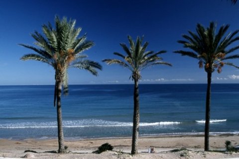 Bungalowi myytävänä Pilar de la Horadada, Alicante, Espanja, 2 makuuhuonetta, 67 m2 No. 112591 - kuva 9