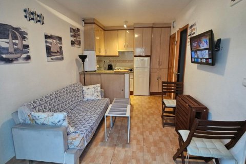 Продажа бунгало в Лос Альтос, Аликанте, Испания 1 спальня, 32м2 №182916 - фото 5