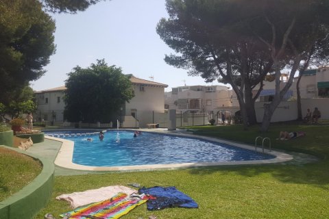 Bungalow in Los Altos, Alicante, Spanien 1 Schlafzimmer, 32 m2 Nr. 182916
