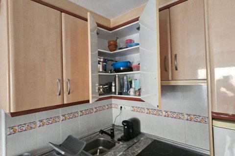 Продажа бунгало в Лос Альтос, Аликанте, Испания 1 спальня, 32м2 №182916 - фото 15
