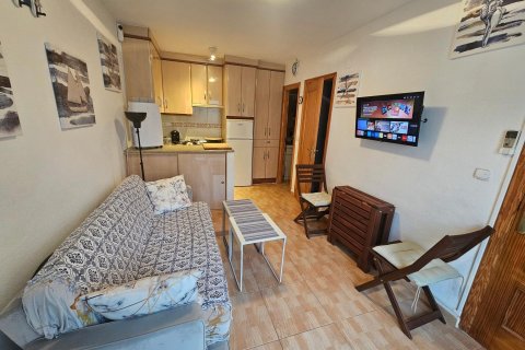 Продажа бунгало в Лос Альтос, Аликанте, Испания 1 спальня, 32м2 №182916 - фото 10