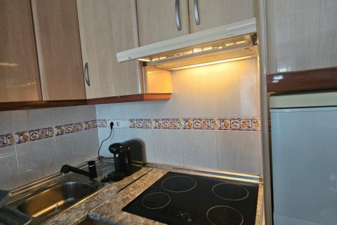 Продажа бунгало в Лос Альтос, Аликанте, Испания 1 спальня, 32м2 №182916 - фото 12
