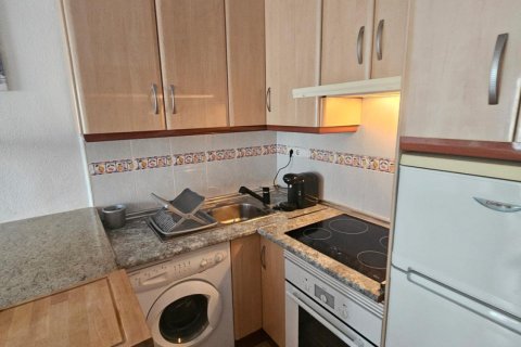 Продажа бунгало в Лос Альтос, Аликанте, Испания 1 спальня, 32м2 №182916 - фото 13