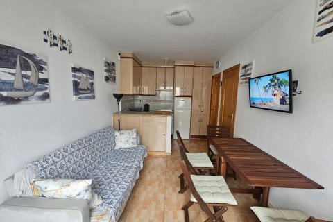 Продажа бунгало в Лос Альтос, Аликанте, Испания 1 спальня, 32м2 №182916 - фото 6