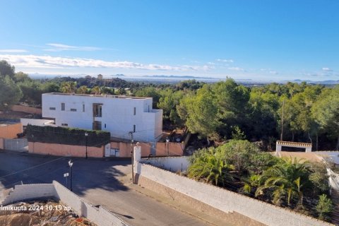 Huoneisto myytävänä Villamartin, Alicante, Espanja, 2 makuuhuonetta, 82 m2 No. 146099 - kuva 19