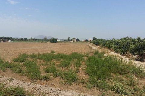 Finca till salu Daya Nueva, Alicante, Spanien 3 sovrum, 239 kvm. Nr. 139280 - foto 2