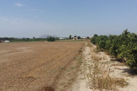 Finca till salu Daya Nueva, Alicante, Spanien 3 sovrum, 239 kvm. Nr. 139280 - foto 3