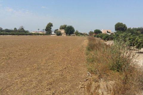 Finca till salu Daya Nueva, Alicante, Spanien 3 sovrum, 239 kvm. Nr. 139280 - foto 5