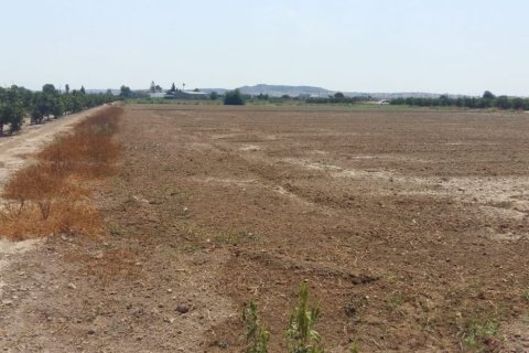 Finca till salu Daya Nueva, Alicante, Spanien 3 sovrum, 239 kvm. Nr. 139280 - foto 4