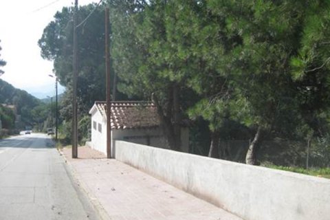 Tontti myytävänä Dosrius, Barcelona, Espanja , No. 186380 - kuva 6