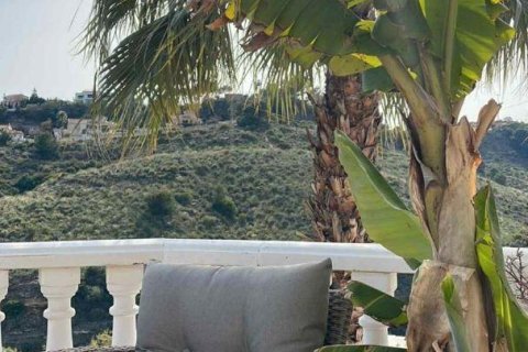 Willa w Ciudad Quesada, Alicante, Hiszpania 7 sypialni, 319 mkw. nr 156255 – zdjęcie 25