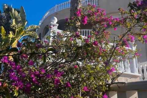 Willa w Ciudad Quesada, Alicante, Hiszpania 7 sypialni, 319 mkw. nr 156255