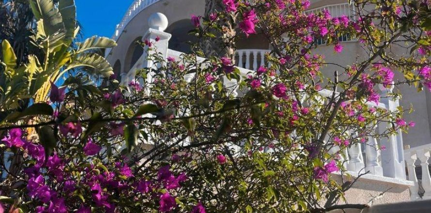 Willa w Ciudad Quesada, Alicante, Hiszpania 7 sypialni, 319 mkw. nr 156255