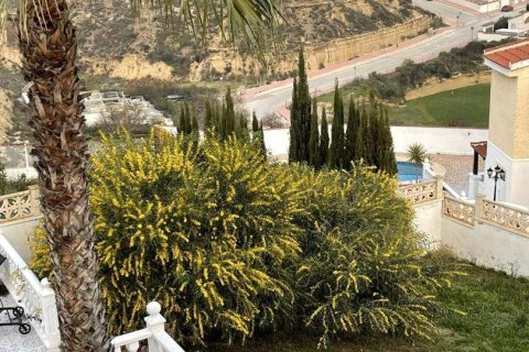Willa w Ciudad Quesada, Alicante, Hiszpania 7 sypialni, 319 mkw. nr 156255 – zdjęcie 23