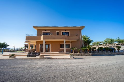 Villa à vendre à Torremendo, Alicante, Espagne, 6 chambres, 350 m2 No. 195440 - photo 3