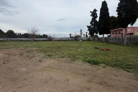 Finca till salu i Alicante, Spanien 3 sovrum, 100 kvm. Nr. 149450 - foto 15