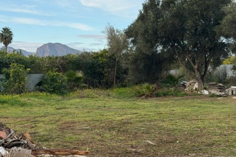 Finca till salu i Alicante, Spanien 3 sovrum, 100 kvm. Nr. 149450 - foto 14