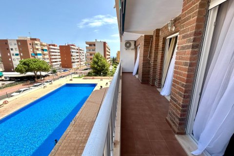 Apartment for sale in Punta Prima, Alicante, Spain 2 bedrooms, 66 sq.m. No. 194902 - photo 19