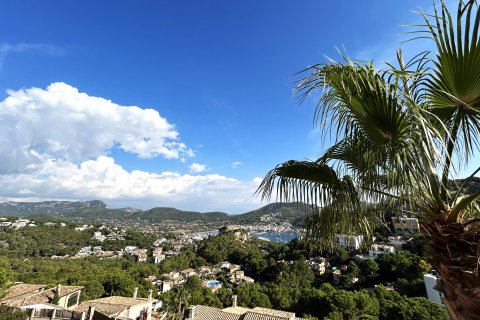 Villa īrēšanai Mallorca, Spānijā 5 istabas, 350 m2 Nr. 193646 - attēls 16