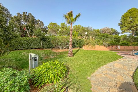 Apartment for sale in Mallorca, Spain 2 bedrooms, 124 sq.m. No. 148166 - photo 17