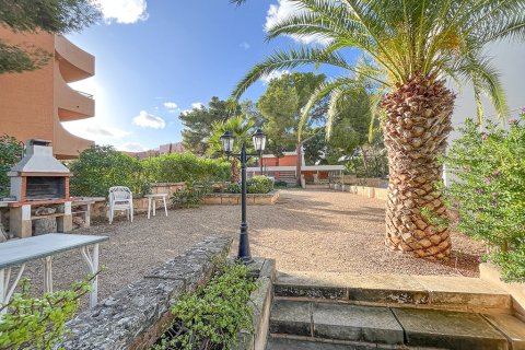 Appartamento in vendita a Santa Ponsa, Mallorca, Spagna 3 camere da letto, 96 mq. N° 148168 - foto 28