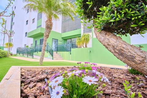 Wohnung zum Verkauf in Alicante, Spanien 2 Schlafzimmer, 85 m2 Nr. 140330 - Foto 19