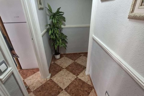 Apartment à Torrevieja, Alicante, Espagne 3 chambres, 91 m2 No. 184315