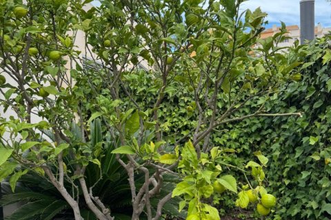 Dom w Torrevieja, Alicante, Hiszpania 127 mkw. nr 166185 – zdjęcie 30