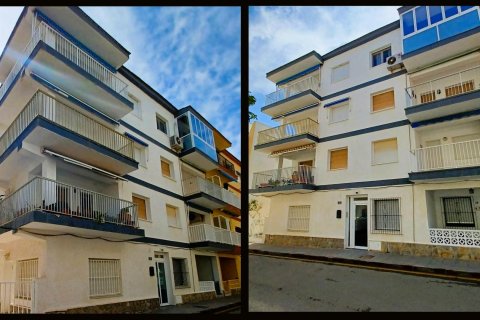 Продажа квартиры в Пилар де ла Орадада, Аликанте, Испания 3 спальни, 82м2 №190033 - фото 23