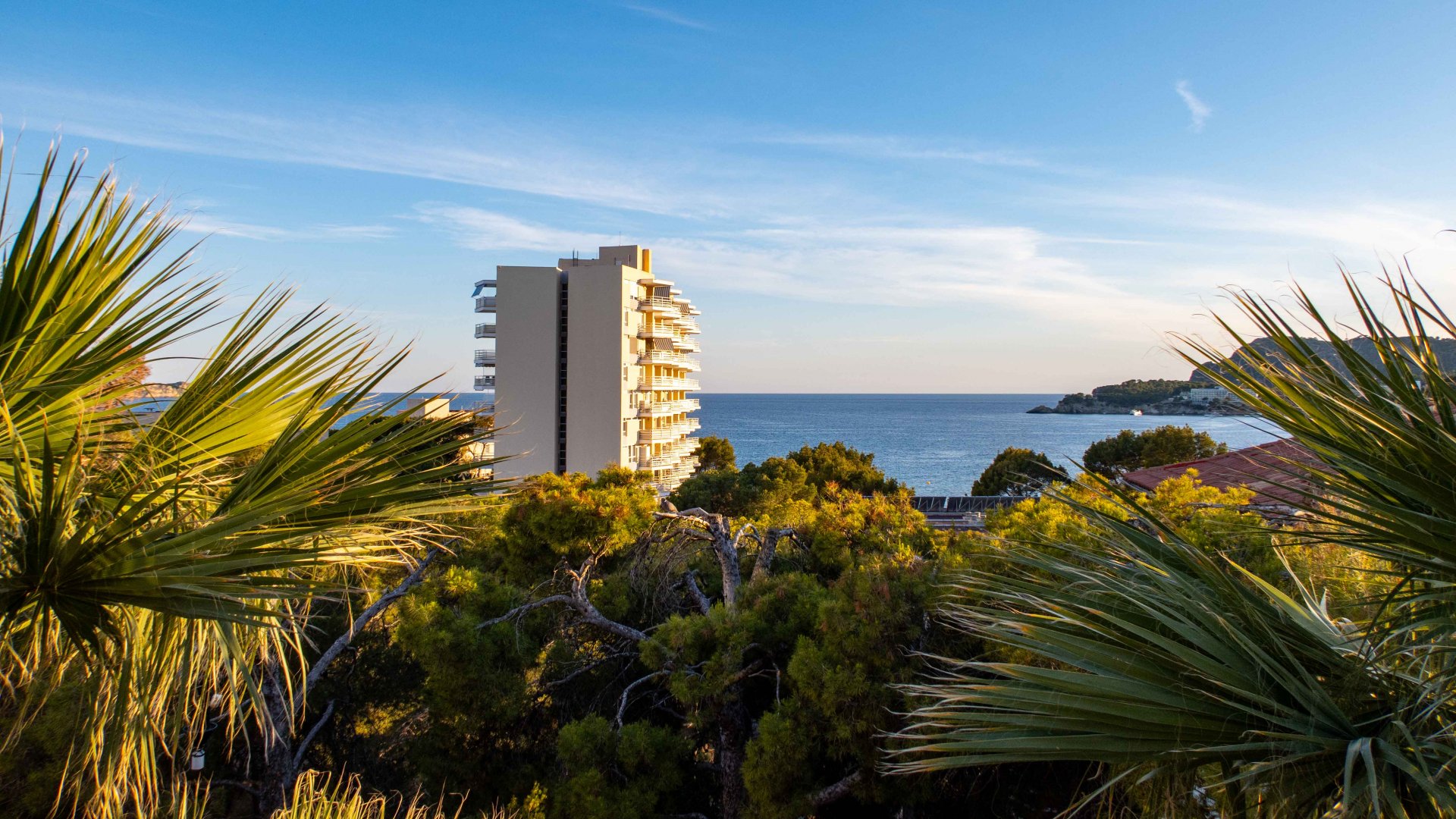 Villa in Peguera, Mallorca, Spanien 6 Schlafzimmer, 892 m2 Nr. 100336