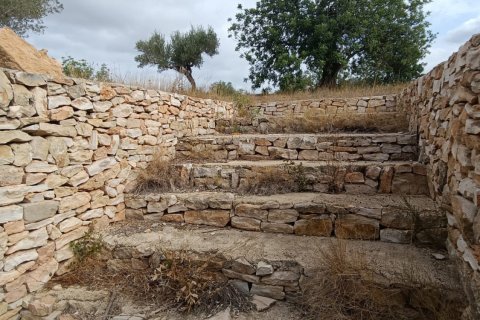 Land plot for sale in L'Ametlla de Mar, Tarragona, Spain 9398 sq.m. No. 193557 - photo 20
