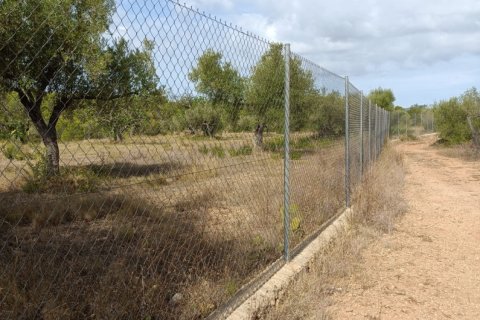 Land plot for sale in L'Ametlla de Mar, Tarragona, Spain 9398 sq.m. No. 193557 - photo 24