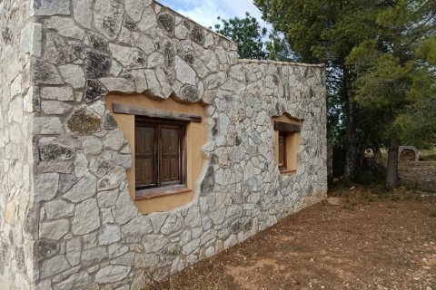 Land plot in L'Ametlla de Mar, Tarragona, Spain 9398 sq.m. No. 193557