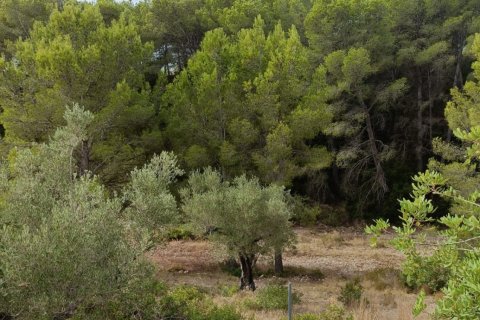 Land plot for sale in L'Ametlla de Mar, Tarragona, Spain 9398 sq.m. No. 193557 - photo 19